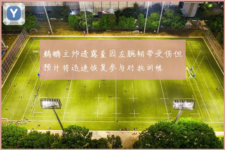 鹈鹕主帅透露奎因左腕韧带受伤但预计将迅速恢复参与对抗训练
