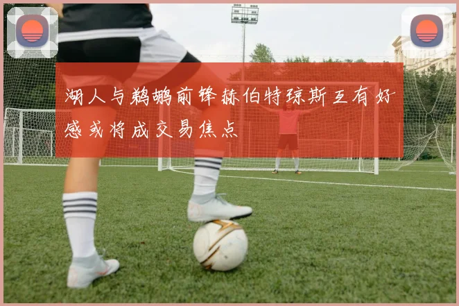 湖人与鹈鹕前锋赫伯特琼斯互有好感或将成交易焦点