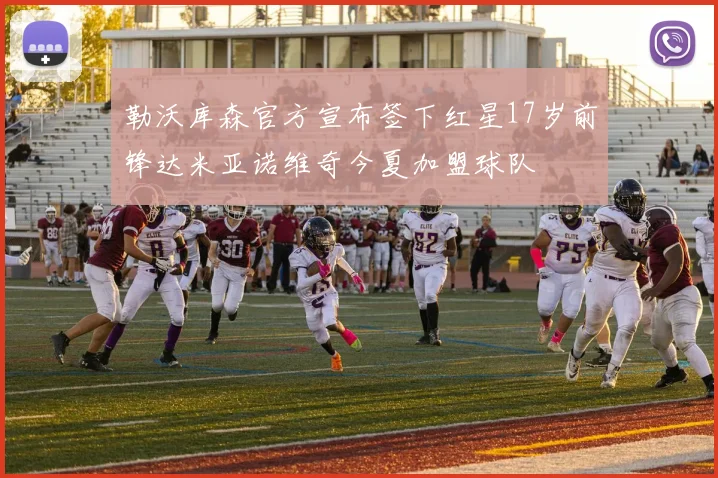 勒沃库森官方宣布签下红星17岁前锋达米亚诺维奇今夏加盟球队